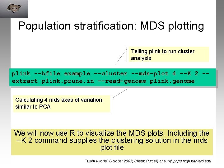 Population stratification: MDS plotting Telling plink to run cluster analysis plink --bfile example –-cluster