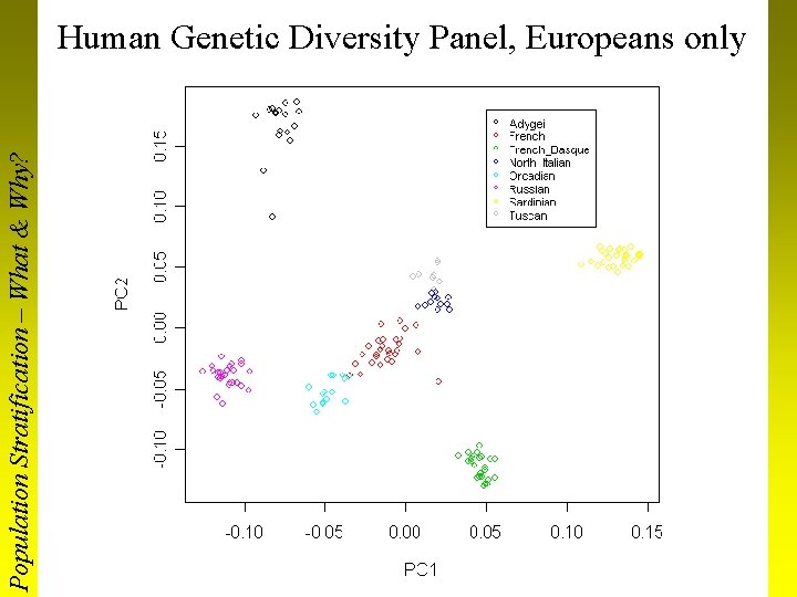 Population Stratification – What & Why? Human Genetic Diversity Panel, Europeans only 
