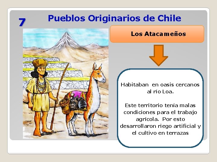 7 Pueblos Originarios de Chile Los Atacameños Habitaban en oasis cercanos al río Loa.