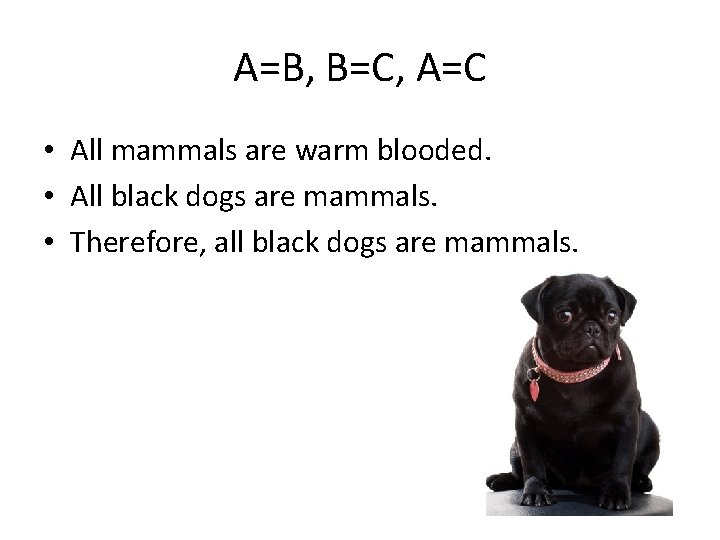 A=B, B=C, A=C • All mammals are warm blooded. • All black dogs are