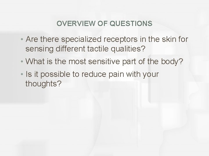 OVERVIEW OF QUESTIONS • Are there specialized receptors in the skin for sensing different