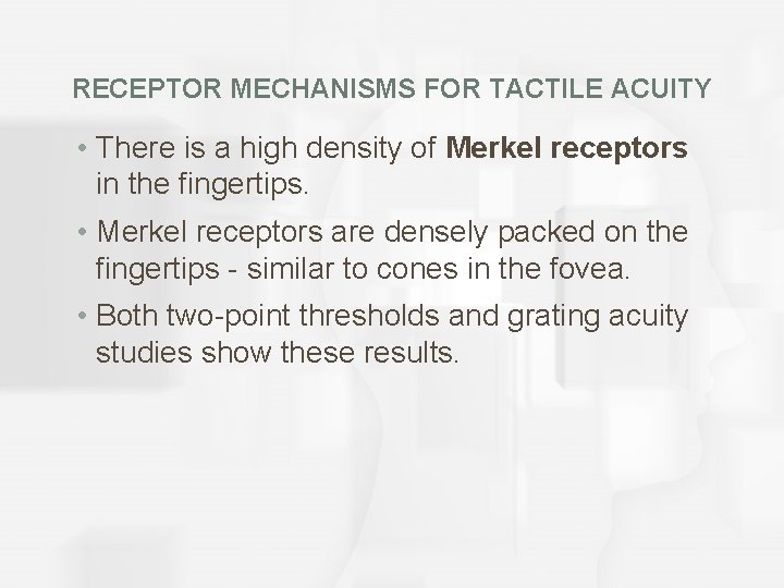RECEPTOR MECHANISMS FOR TACTILE ACUITY • There is a high density of Merkel receptors