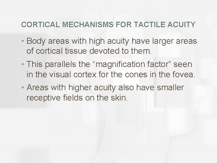 CORTICAL MECHANISMS FOR TACTILE ACUITY • Body areas with high acuity have larger areas