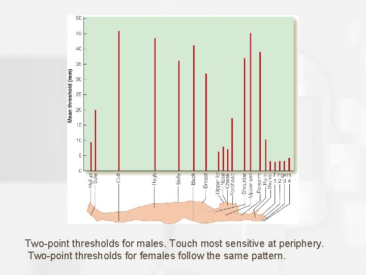Two-point thresholds for males. Touch most sensitive at periphery. Two-point thresholds for females follow
