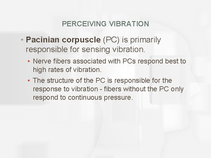 PERCEIVING VIBRATION • Pacinian corpuscle (PC) is primarily responsible for sensing vibration. • Nerve