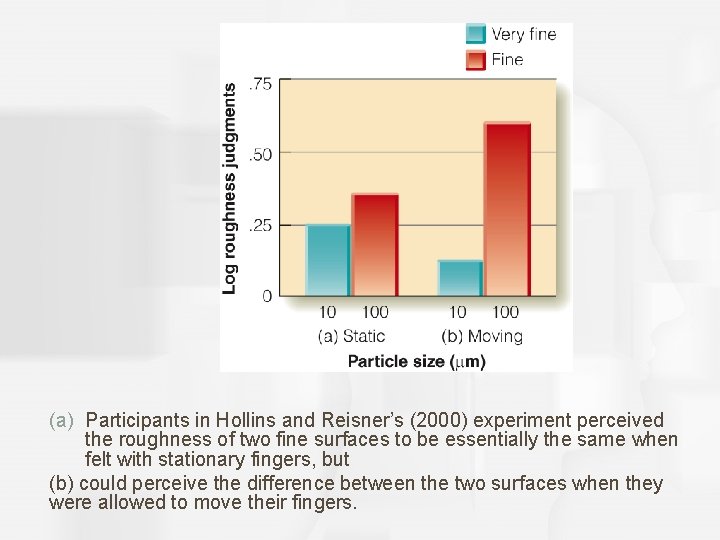 (a) Participants in Hollins and Reisner’s (2000) experiment perceived the roughness of two fine