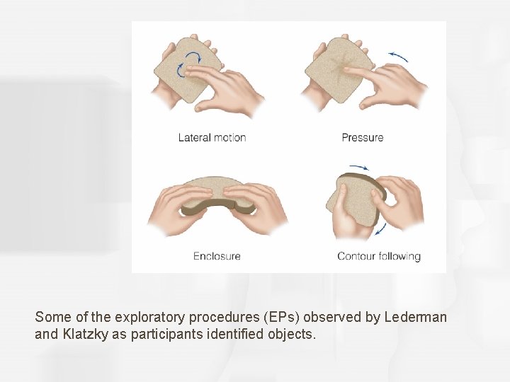 Some of the exploratory procedures (EPs) observed by Lederman and Klatzky as participants identified