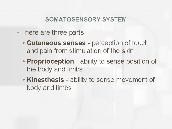 SOMATOSENSORY SYSTEM • There are three parts • Cutaneous senses - perception of touch