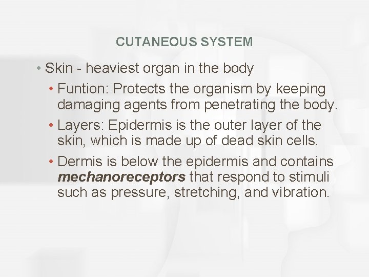CUTANEOUS SYSTEM • Skin - heaviest organ in the body • Funtion: Protects the