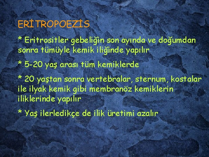 ERİTROPOEZİS * Eritrositler gebeliğin son ayında ve doğumdan sonra tümüyle kemik iliğinde yapılır *