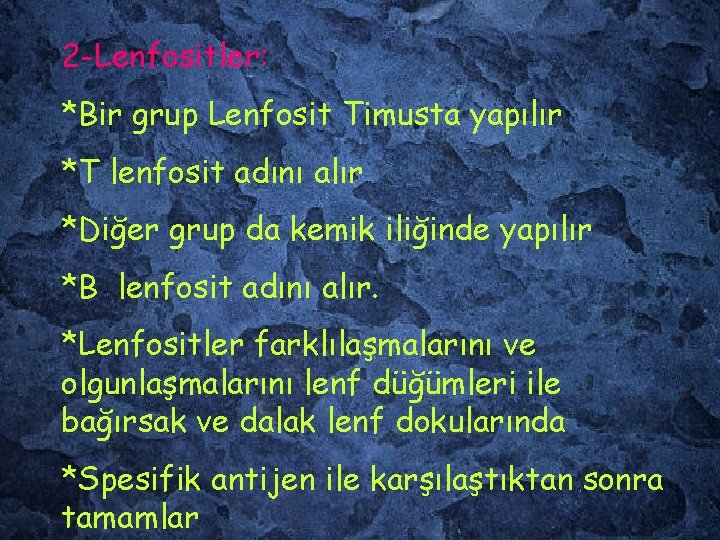2 -Lenfositler: *Bir grup Lenfosit Timusta yapılır *T lenfosit adını alır *Diğer grup da