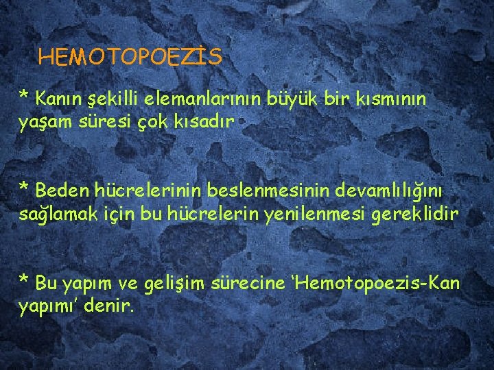 HEMOTOPOEZİS * Kanın şekilli elemanlarının büyük bir kısmının yaşam süresi çok kısadır * Beden