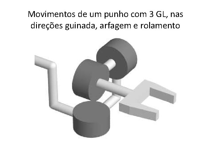Movimentos de um punho com 3 GL, nas direções guinada, arfagem e rolamento 