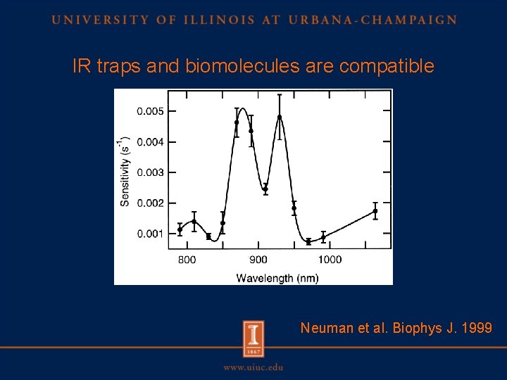 IR traps and biomolecules are compatible Neuman et al. Biophys J. 1999 