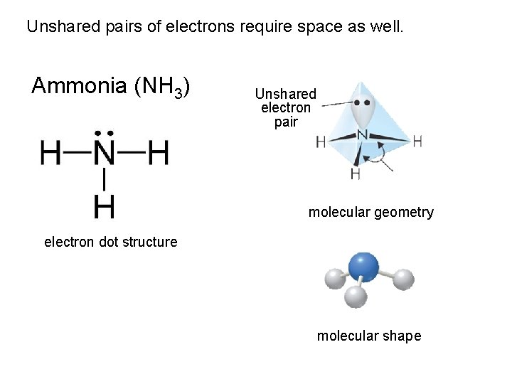 Unshared pairs of electrons require space as well. Ammonia (NH 3) Unshared electron pair