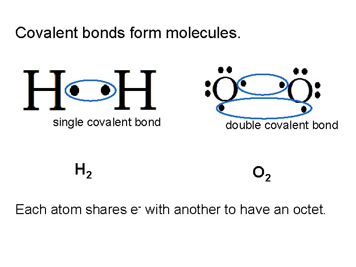 Covalent bonds form molecules. single covalent bond H 2 double covalent bond O 2