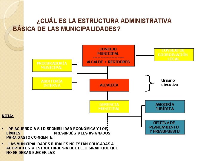 ¿CUÁL ES LA ESTRUCTURA ADMINISTRATIVA BÁSICA DE LAS MUNICIPALIDADES? PROCURADORÍA MUNICIPAL AUDITORÍA INTERNA CONCEJO