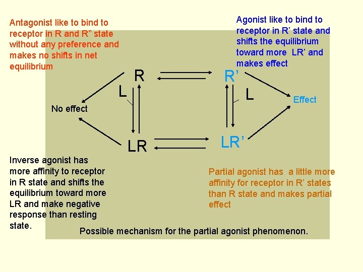 Antagonist like to bind to receptor in R and R” state without any preference