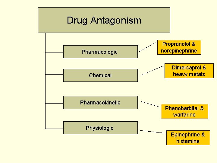 Drug Antagonism Pharmacologic Chemical Pharmacokinetic Propranolol & norepinephrine Dimercaprol & heavy metals Phenobarbital &