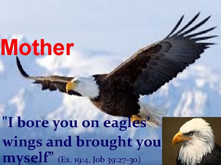 Mother "I bore you on eagles’ wings and brought you to myself” (Ex. 19: