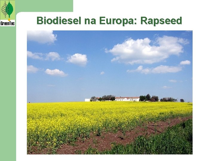 Biodiesel na Europa: Rapseed 