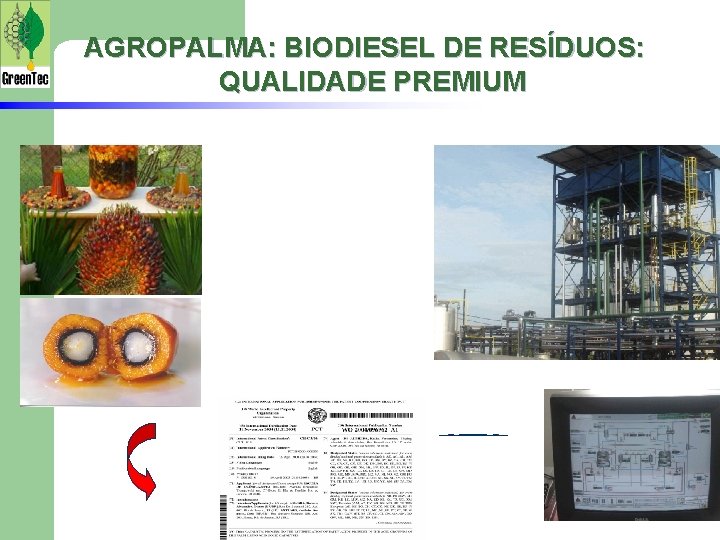 AGROPALMA: BIODIESEL DE RESÍDUOS: QUALIDADE PREMIUM 