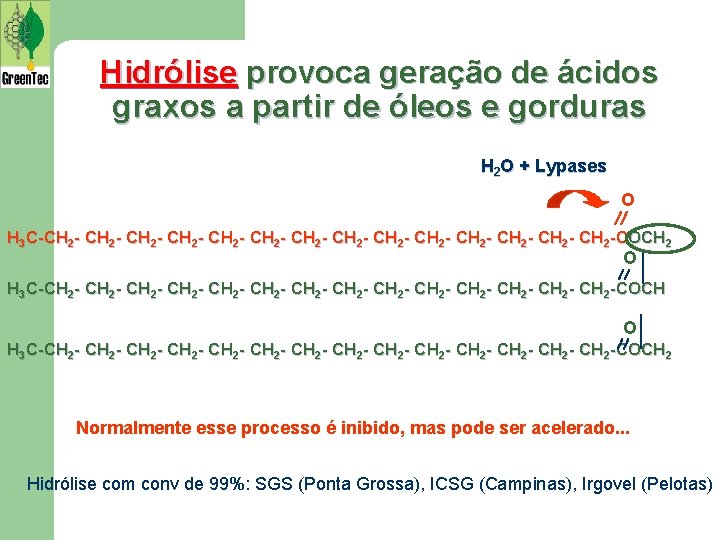 Hidrólise provoca geração de ácidos graxos a partir de óleos e gorduras H 2