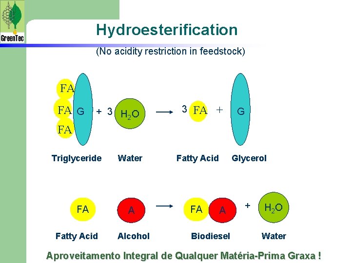 Hydroesterification (No acidity restriction in feedstock) FA FA G + 3 H 2 O