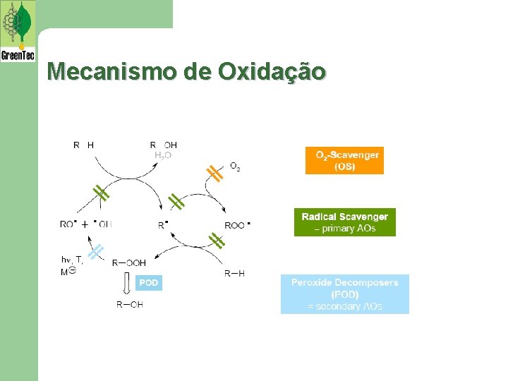 Mecanismo de Oxidação 