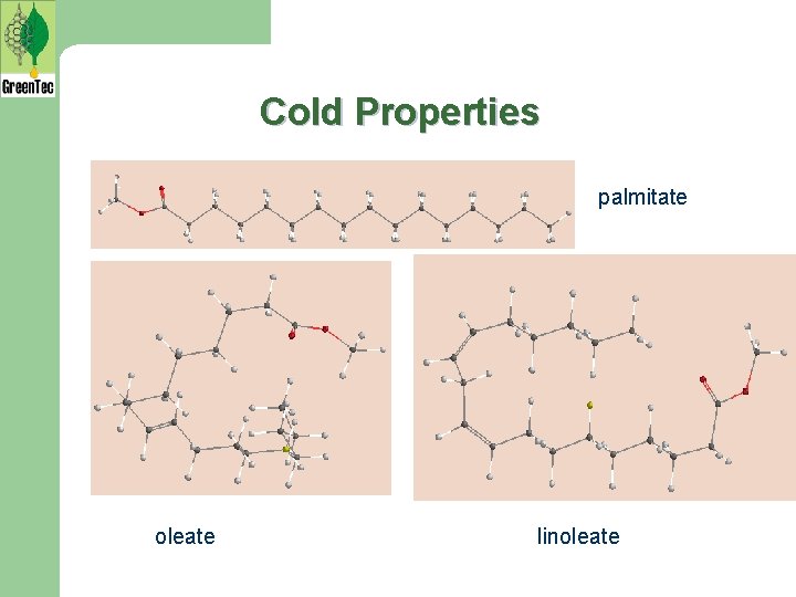 Cold Properties palmitate oleate linoleate 