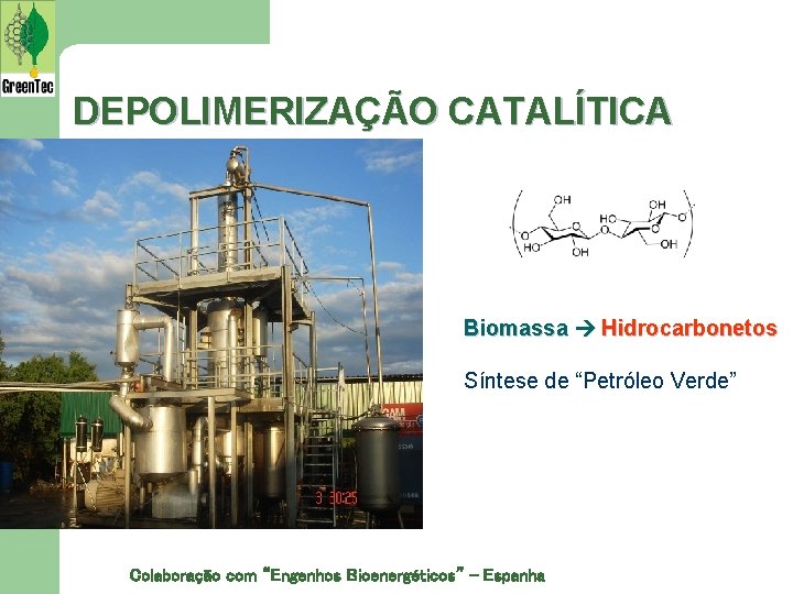 DEPOLIMERIZAÇÃO CATALÍTICA Biomassa Hidrocarbonetos Síntese de “Petróleo Verde” Colaboração com “Engenhos Bioenergéticos” - Espanha