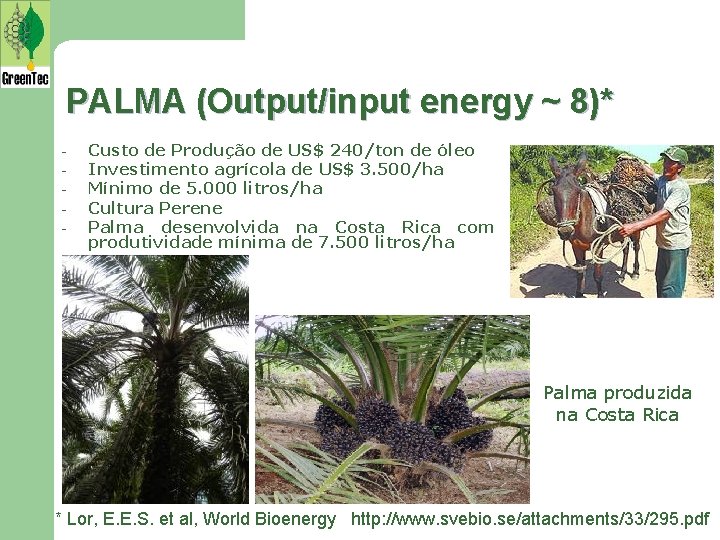 PALMA (Output/input energy ~ 8)* - Custo de Produção de US$ 240/ton de óleo