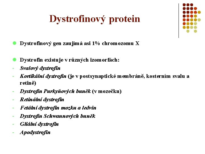 Dystrofinový protein l Dystrofinový gen zaujímá asi 1% chromozomu X l Dystrofin existuje v