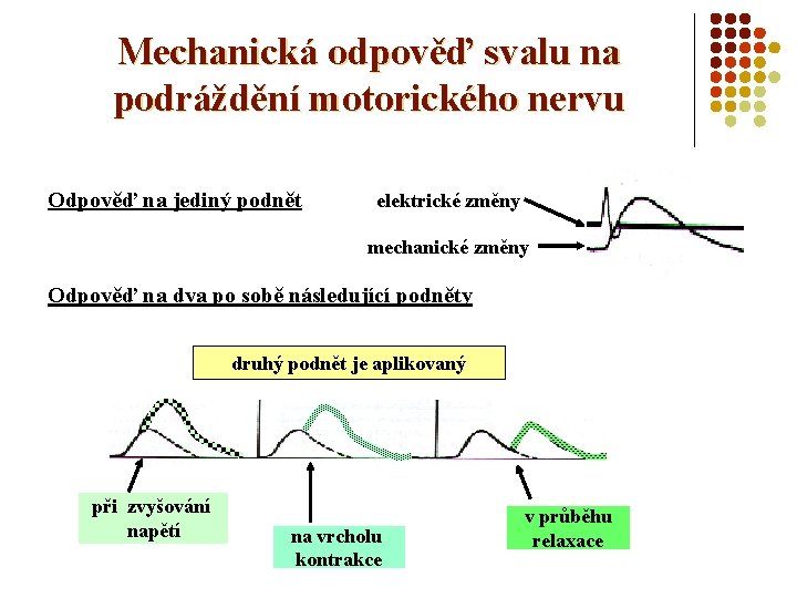 Mechanická odpověď svalu na podráždění motorického nervu Odpověď na jediný podnět elektrické změny mechanické