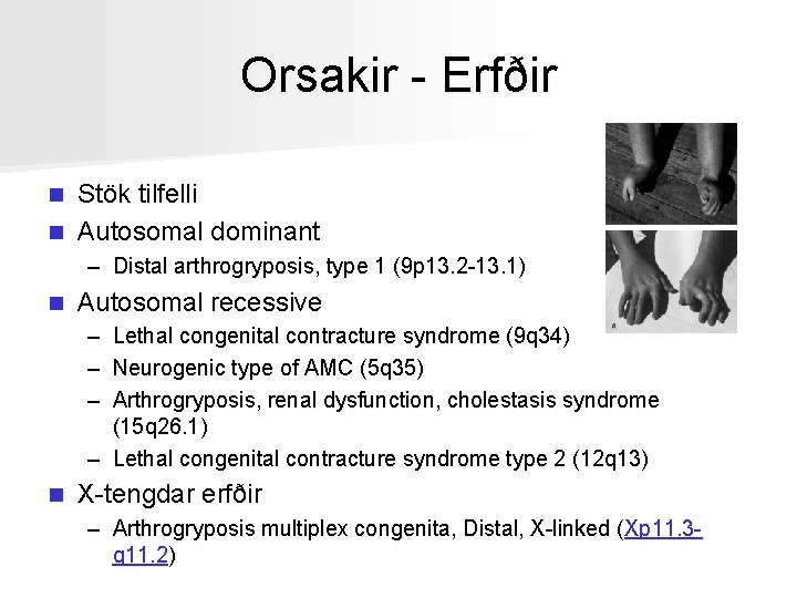 Orsakir - Erfðir Stök tilfelli n Autosomal dominant n – Distal arthrogryposis, type 1