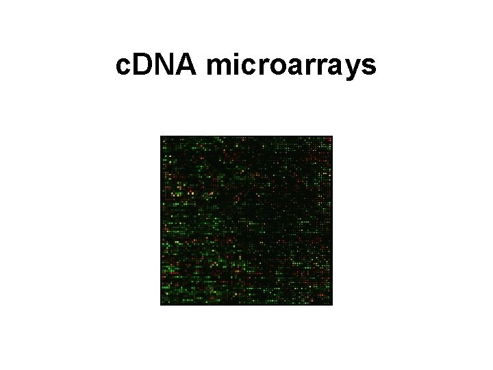 c. DNA microarrays 