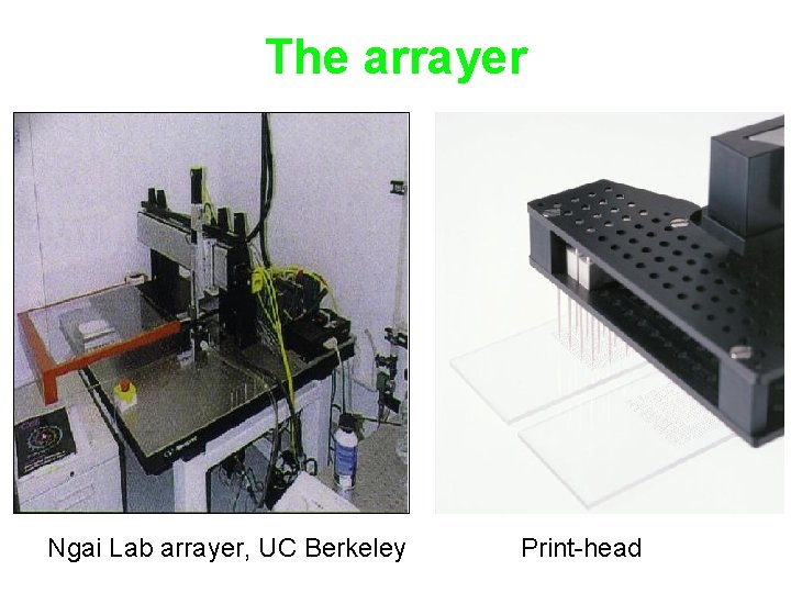 The arrayer Ngai Lab arrayer, UC Berkeley Print-head 
