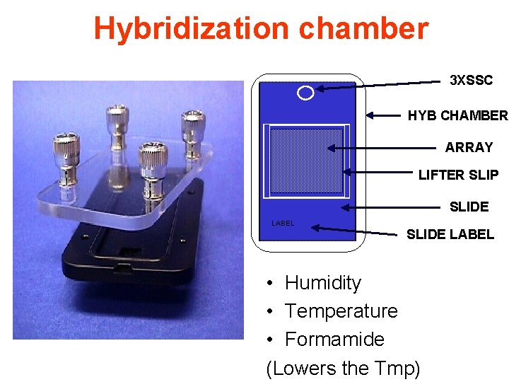 Hybridization chamber 3 XSSC HYB CHAMBER ARRAY LIFTER SLIP SLIDE LABEL • Humidity •