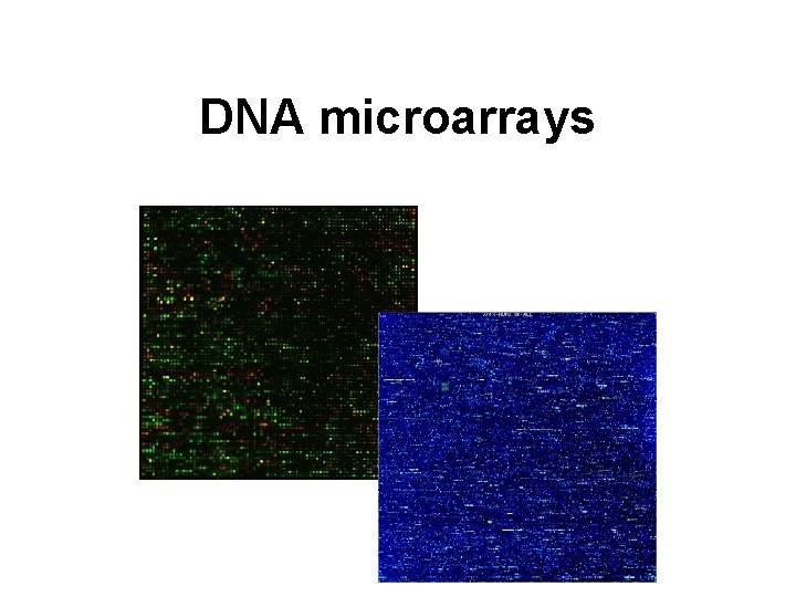 DNA microarrays 