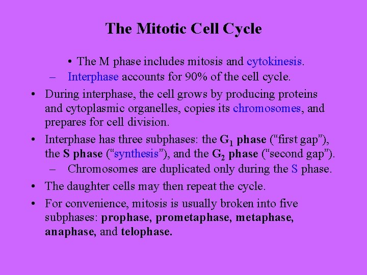 The Mitotic Cell Cycle • • • The M phase includes mitosis and cytokinesis.