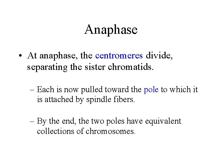 Anaphase • At anaphase, the centromeres divide, separating the sister chromatids. – Each is