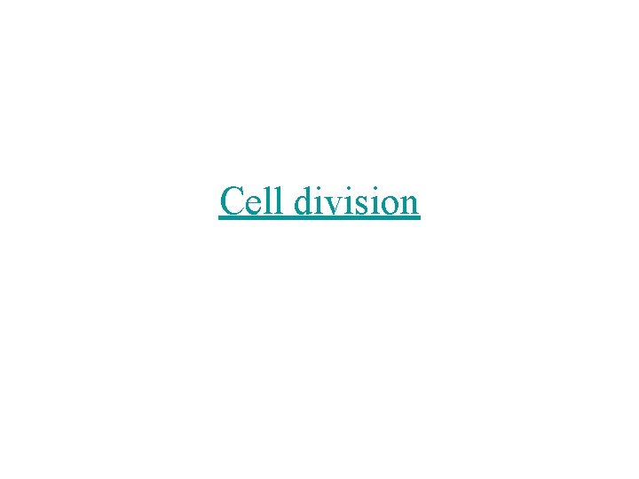 Cell division 