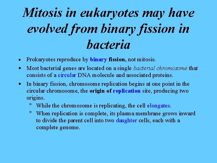 Mitosis in eukaryotes may have evolved from binary fission in bacteria Prokaryotes reproduce by
