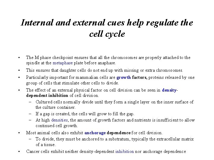 Internal and external cues help regulate the cell cycle • The M phase checkpoint