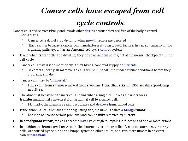 Cancer cells have escaped from cell cycle controls. Cancer cells divide excessively and invade
