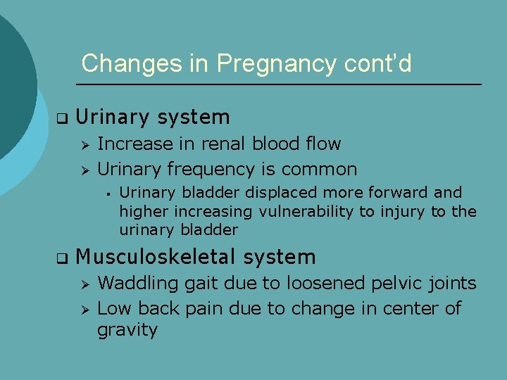 Changes in Pregnancy cont’d q Urinary system Ø Ø Increase in renal blood flow