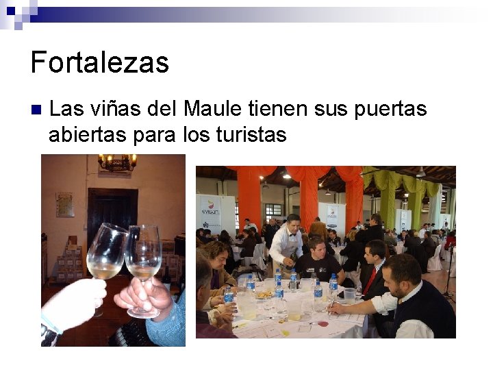 Fortalezas n Las viñas del Maule tienen sus puertas abiertas para los turistas 