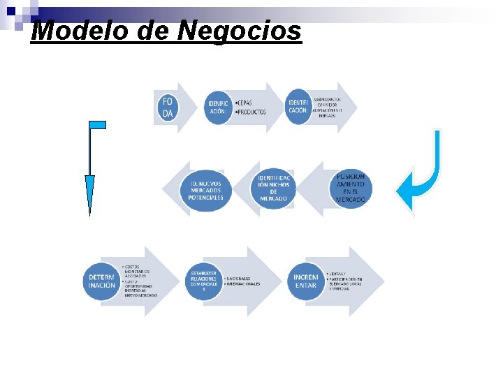 Modelo de Negocios 