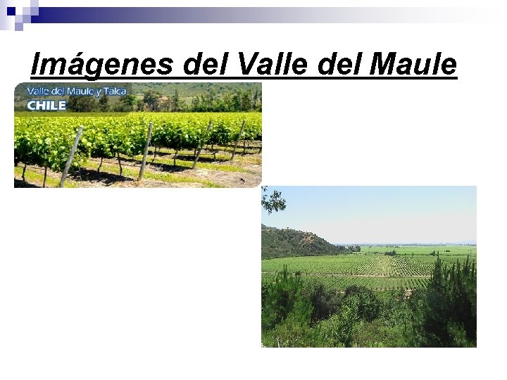 Imágenes del Valle del Maule 