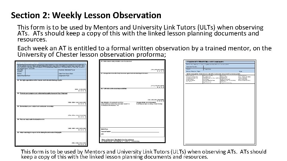 Section 2: Weekly Lesson Observation This form is to be used by Mentors and Section 2: Weekly Lesson Observation This form is to be used by Mentors and